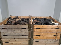 Partij diverse schoenen