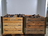 Partij diverse schoenen