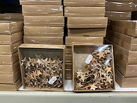Partij diverse star birch (365 verpakkingen) - afbeelding 14 van  17