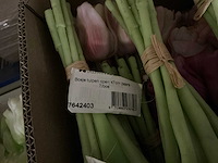 Partij diverse tulpen 7/bun (80x) - afbeelding 10 van  11
