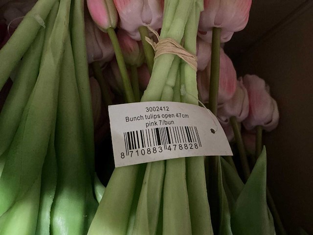 Partij diverse tulpen 7/bun (80x) - afbeelding 11 van  11