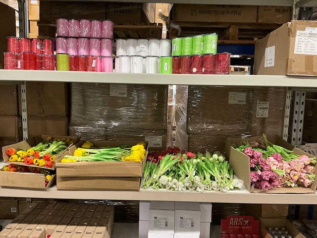 Partij diverse tulpen 7/bun (80x) - afbeelding 1 van  11