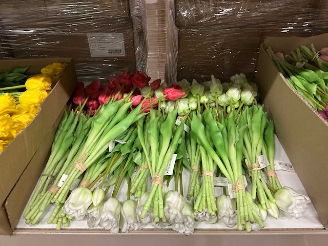 Partij diverse tulpen 7/bun (80x) - afbeelding 3 van  11