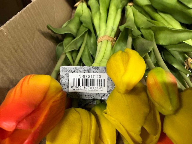 Partij diverse tulpen 7/bun (80x) - afbeelding 6 van  11