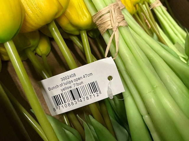 Partij diverse tulpen 7/bun (80x) - afbeelding 7 van  11
