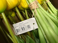 Partij diverse tulpen 7/bun (80x) - afbeelding 7 van  11