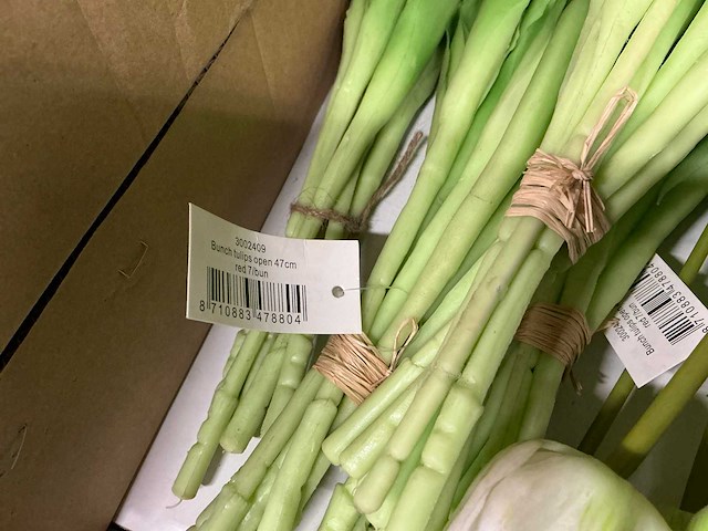 Partij diverse tulpen 7/bun (80x) - afbeelding 8 van  11