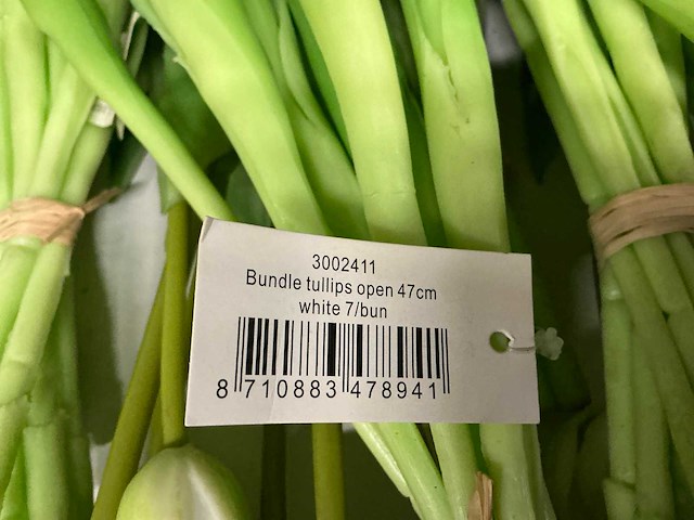 Partij diverse tulpen 7/bun (80x) - afbeelding 9 van  11