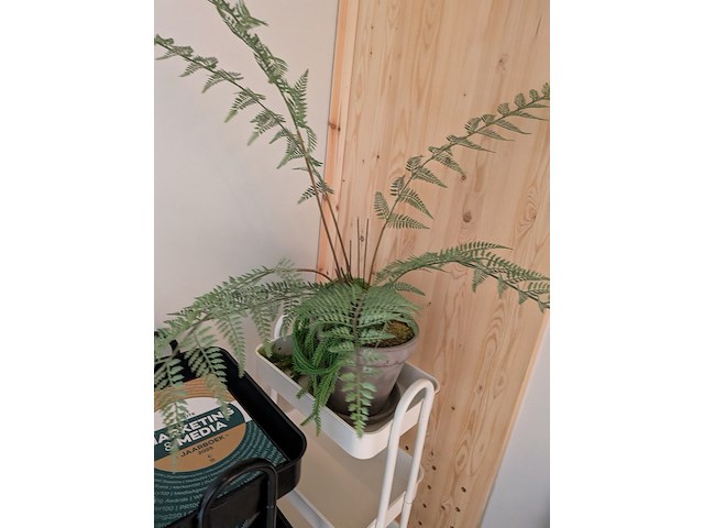 Partij diversen - afbeelding 5 van  5