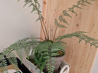 Partij diversen - afbeelding 5 van  5