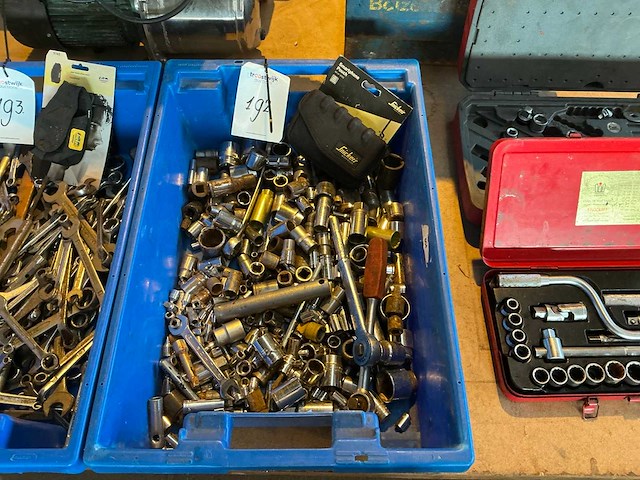 Partij doppen in plastic krat - afbeelding 1 van  3