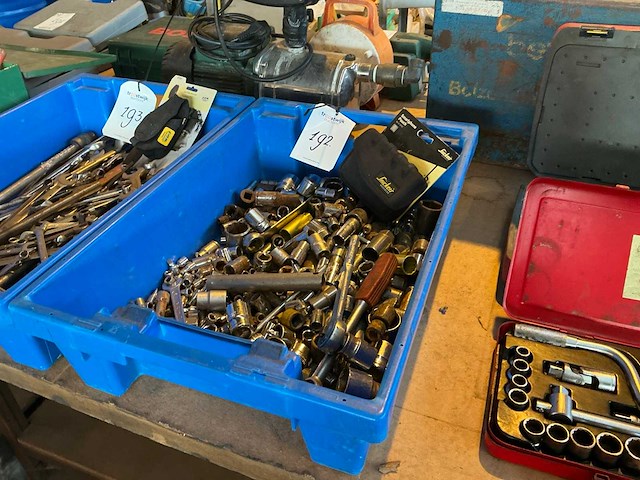 Partij doppen in plastic krat - afbeelding 3 van  3