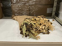 Partij dried flowerbouquet with wild grass 250gr per boeket (30x) - afbeelding 1 van  4