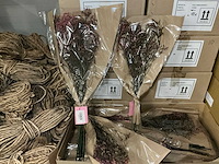 Partij droogbloemen (425x) - afbeelding 1 van  5