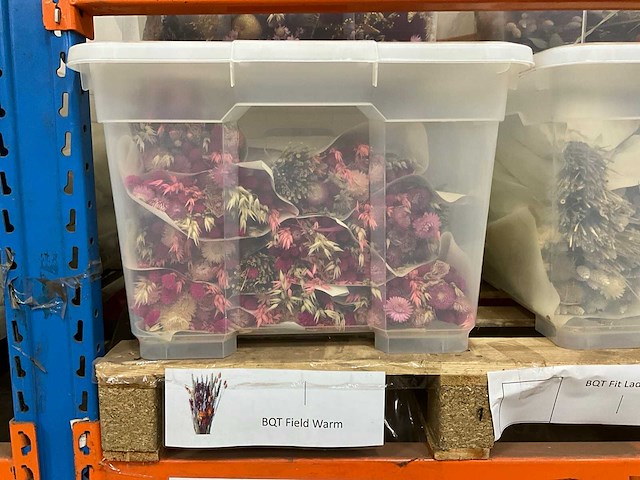 Partij droogboeketten - afbeelding 2 van  8