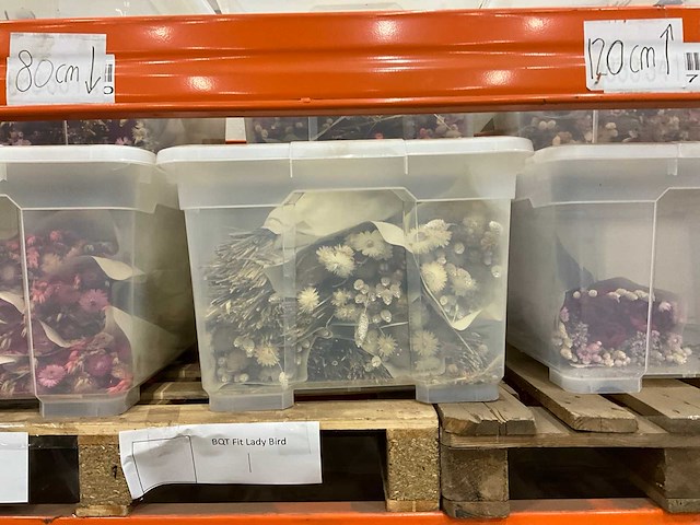 Partij droogboeketten - afbeelding 3 van  8