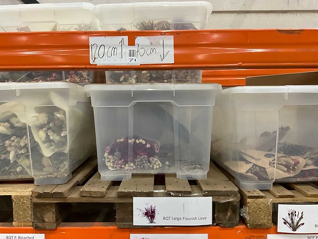 Partij droogboeketten - afbeelding 4 van  8