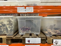 Partij droogboeketten - afbeelding 4 van  8