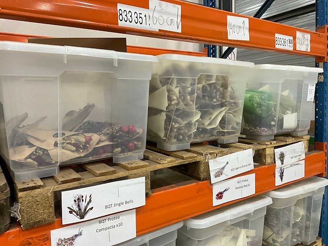 Partij droogboeketten - afbeelding 5 van  8