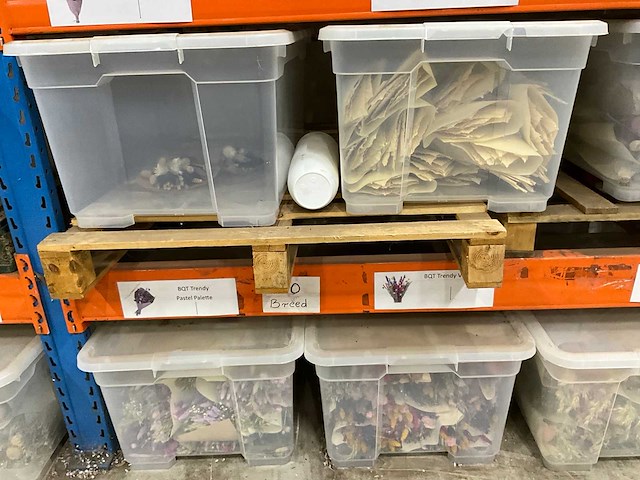 Partij droogboeketten - afbeelding 6 van  8