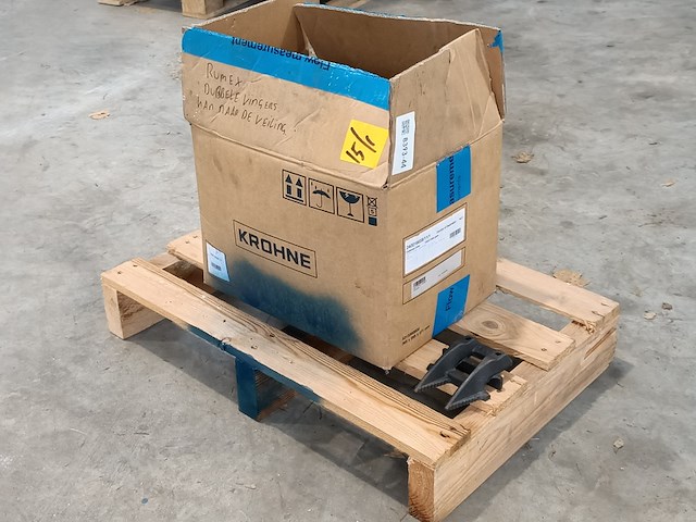 Partij dubbele vingers, rumex - afbeelding 3 van  4