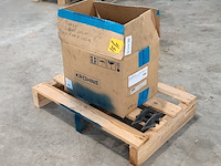 Partij dubbele vingers, rumex - afbeelding 3 van  4