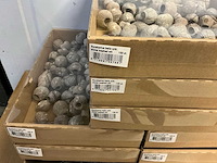 Partij eucalyptus bells o/dr. stone washed wit (2100x) - afbeelding 2 van  3