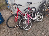 Partij fietsen - afbeelding 4 van  6