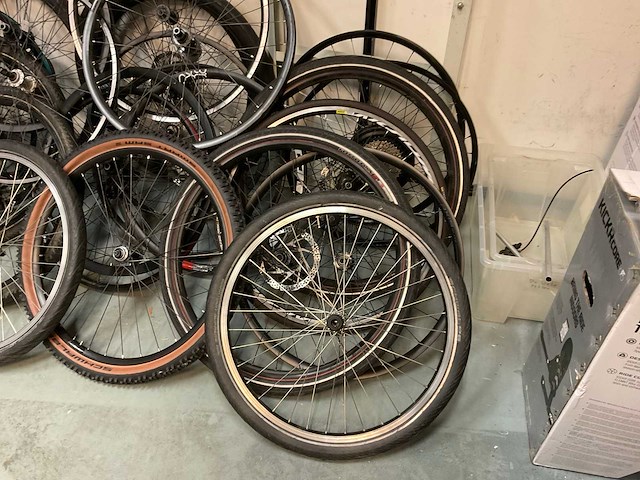 Partij fietsvelgen - afbeelding 3 van  6