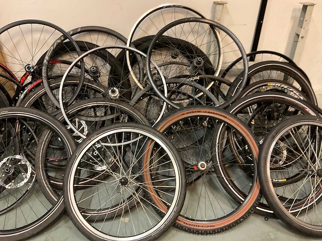 Partij fietsvelgen - afbeelding 4 van  6