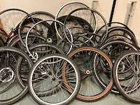 Partij fietsvelgen - afbeelding 4 van  6