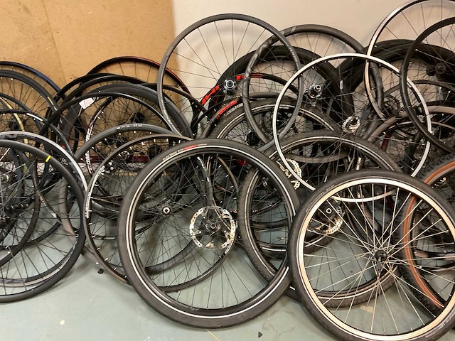 Partij fietsvelgen - afbeelding 5 van  6