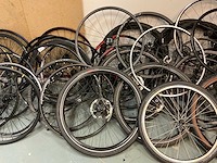 Partij fietsvelgen - afbeelding 5 van  6