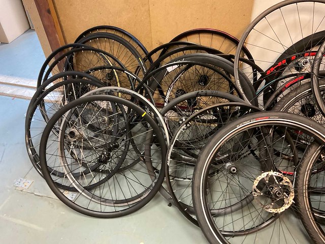 Partij fietsvelgen - afbeelding 6 van  6
