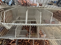 Partij fittingen en koppelingen geberit/rehau/bonprix/vsh - afbeelding 18 van  24