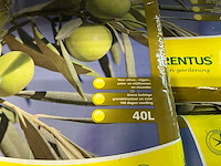 Partij florentus grond voor mediterrane planten 40l per zak (37x) - afbeelding 4 van  4
