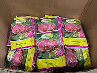 Partij florentus grond voor orchideeën 5l (195x) - afbeelding 1 van  4