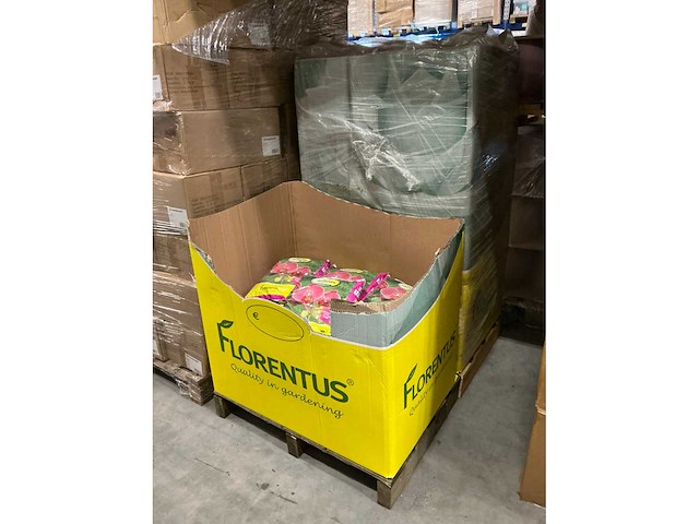 Partij florentus grond voor orchideeën 5l (195x) - afbeelding 2 van  4