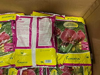 Partij florentus grond voor orchideeën 5l (195x) - afbeelding 3 van  4