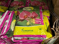 Partij florentus grond voor orchideeën 5l (300x) - afbeelding 2 van  4