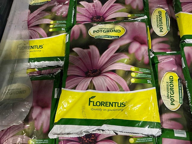 Partij florentus universele potgrond 5l (312x) - afbeelding 3 van  5