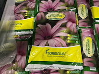 Partij florentus universele potgrond 5l (312x) - afbeelding 3 van  5