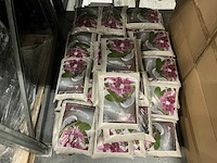 Partij flower make-up sandman beige circa 5kg per zak (70x) - afbeelding 1 van  3