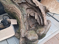 Partij fontein en waterval toebehoren o.a. vivaria - afbeelding 8 van  40