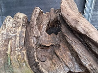 Partij fontein en waterval toebehoren o.a. vivaria - afbeelding 29 van  40