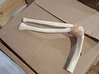 Partij functie modellen kniegewricht - afbeelding 4 van  5