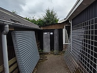 Partij gaaspanelen verzinkt - afbeelding 1 van  7