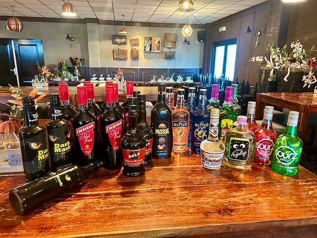 Partij gedistilleerd en likeuren, 28 flessen - afbeelding 1 van  4