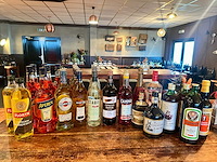 Partij gedistilleerd en likeuren, 31 flessen - afbeelding 1 van  4