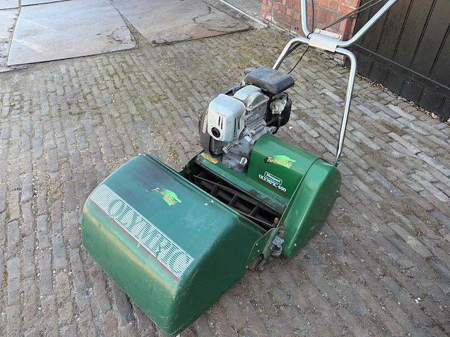 Partij grasmaaiers - afbeelding 20 van  21